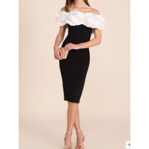 Black Off The Shoulder Gown and White Ruffle